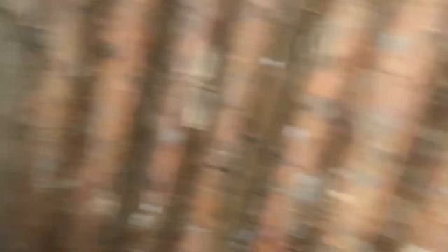 Нашли землянку!! А там?? !! смотреть онлайн