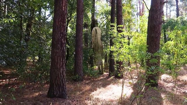 ОСВАИВАЮ САМЫЕ СТРАННЫЕ ХОББИ 24 ЧАСА смотреть онлайн