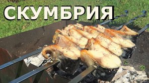 Шашлык из Рыбы | РЫБА Скумбрия на Мангале. ENG SUB.