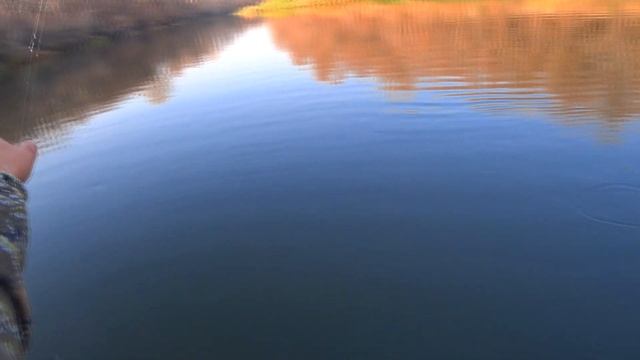 РЫБАЛКА на РЕКЕ ХОПЁР со СПИННИНГОМ смотреть онлайн