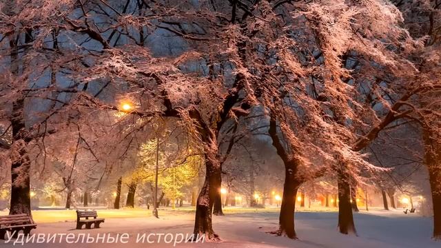 Жених бросил беременную невесту и женился на своей любовнице. А спустя 20 лет он встретил... смотреть онлайн