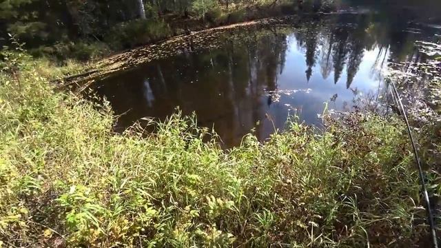 Рыбалка. Ловлю хариуса на таёжной реке. Привал у костра. 3 серия /Осенний хариус 2022/ смотреть онлайн