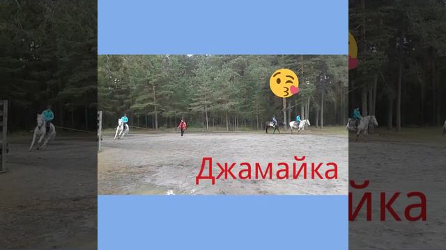 Галопом впервые смотреть онлайн