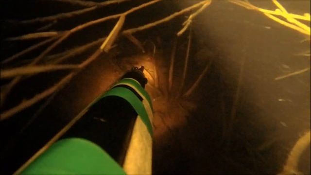 Подгорное 11 11 23 г смотреть онлайн