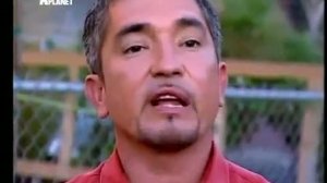 Переводчик с собачьего с Цезарем Миланом