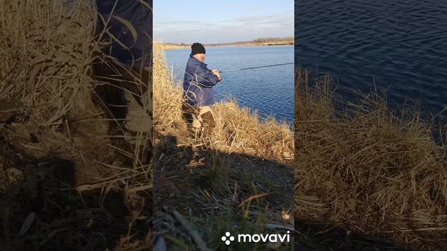 Отдых на Яновском пруду