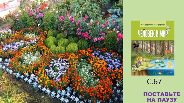 Тема 7. Культурные растения Беларуси. Декоративные растения смотреть онлайн