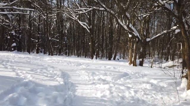 Зимний чай: Чай из малиновых веточек смотреть онлайн