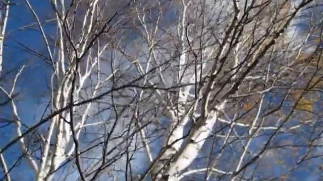 Обзор и испытание LTE роутера Megafon MR100-3 смотреть онлайн