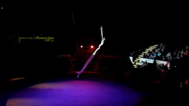 08.Королевство цветов. Королева Роза-1 смотреть онлайн