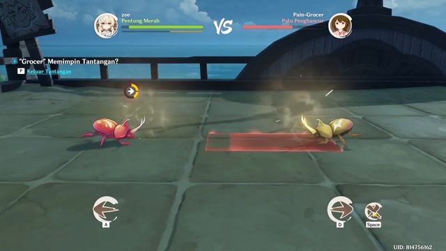 Event Lomba Adu Kumbang Arataki Yang Paling Seru Dan Paling Gila | FREE 420 PRIMOGEM【Genshin Impact