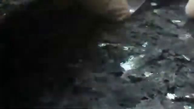 Ногтевые и не только покупочки с сайта Ali. Камифубики, втирка, меланж,накожницы, линзы и часы) смотреть онлайн