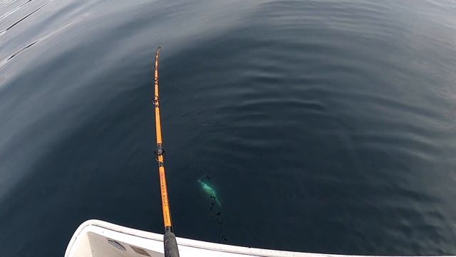 ТАКОГО Я НЕ ОЖИДАЛ!! КЛЮЁТ НА КАЖДОМ ЗАБРОСЕ! Рыбалка в Норвегии с лодки. Норвегия. Рыбалка. Мольва смотреть онлайн