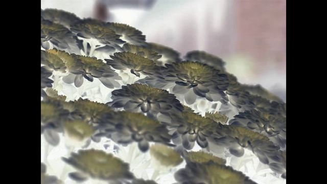Cosmos Sound Club - Les Chrysanthèmes смотреть онлайн