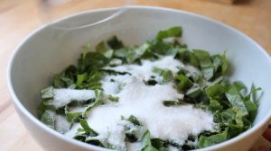 Что приготовить из щавеля. Просто и вкусно! Быстрый рецепт