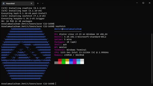 Neofetch di Alpine WSL2 смотреть онлайн