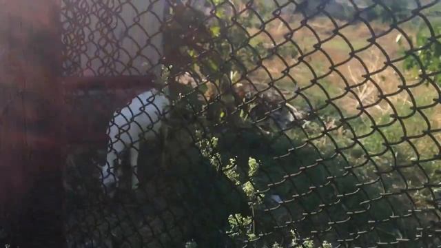 ВЛОГ:Подбуживание/Новые вещи для малыша смотреть онлайн