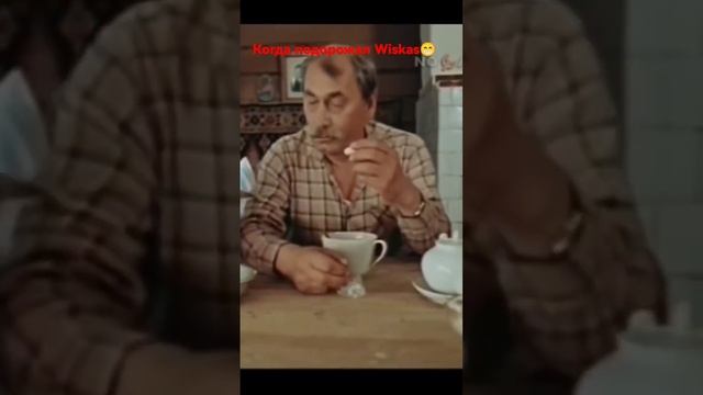 Когда подорожал Wiskas.Подняли цены на Вискас. смотреть онлайн