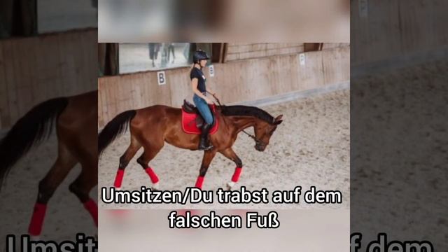 Falls ihr auch Ideen habt dann schreibt sie gerne in die Kommis смотреть онлайн