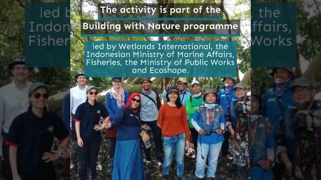 Java, Indonesia - Building with Nature смотреть онлайн