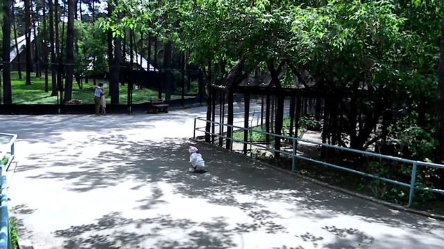 DSCN3829Регина и шишки... смотреть онлайн