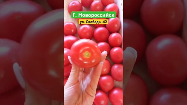 Помидоры сорт Парадайс смотреть онлайн