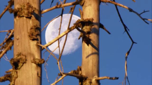 Медитация на галактическом языке исцеление Земли🌐The galactic language of the healing of the Earth смотреть онлайн