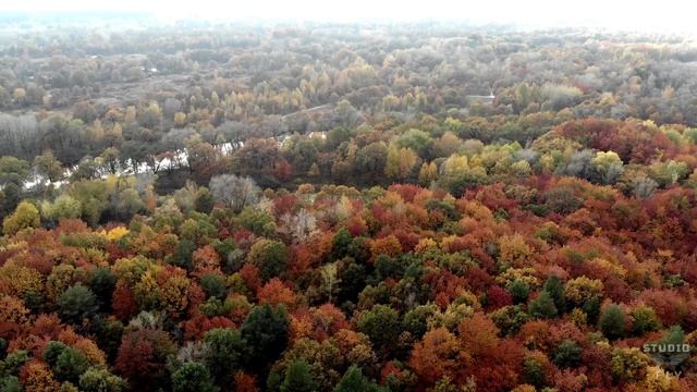 НЕВЕРОЯТНЫЕ Краски киевской осени. 4К видео смотреть онлайн