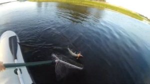 На рыбалке с Garmin Striker 5dv