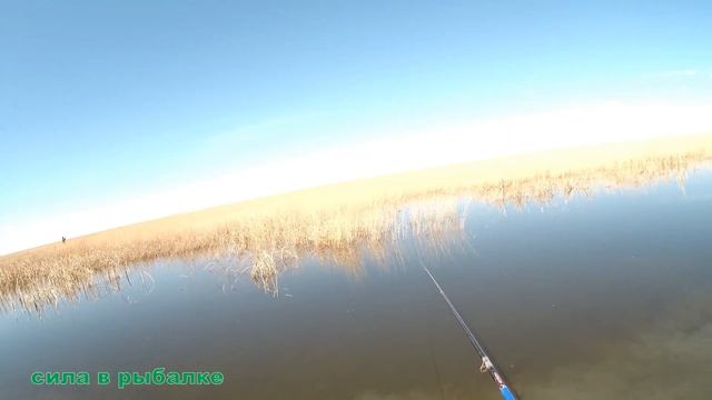 Первая летняя рыбалка на озере. Открытие сезона. смотреть онлайн