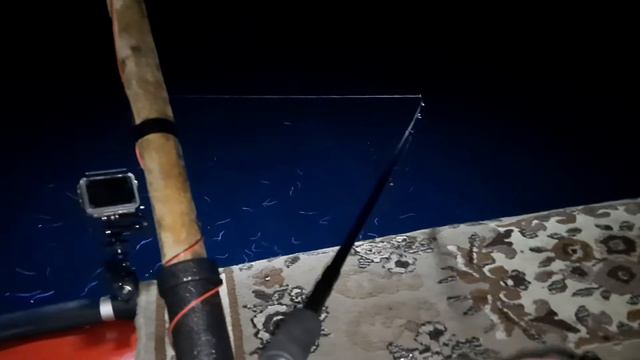 К берегам Находки подошёл кальмар .ловля кальмара на воблеры от Mr.Musurok.3.07.2021.