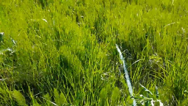 Автомойка использует канализационный колодец смотреть онлайн