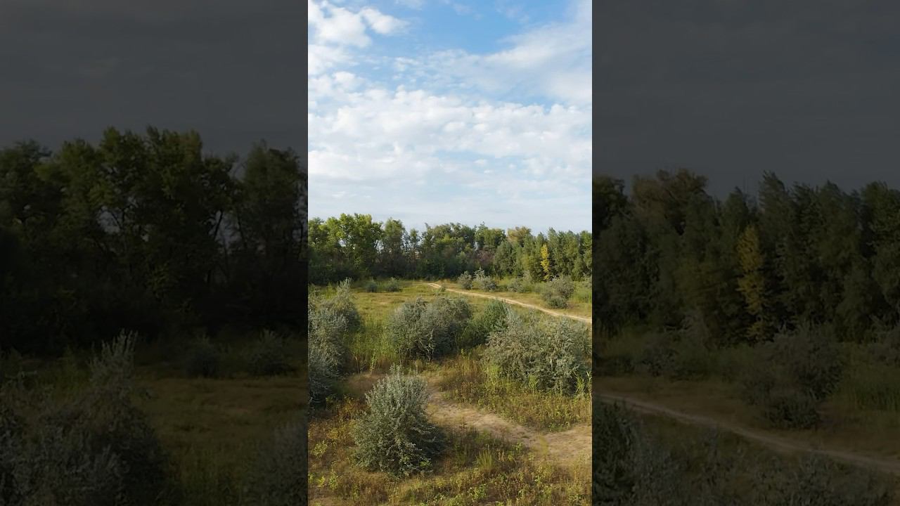 FPV дрон с потрясающей камерой DJI Avata 2⚡️ #shorts смотреть онлайн