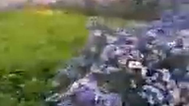 полёт бабочки Flight of the butterfly смотреть онлайн