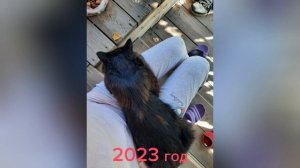 Преданность кота Рыжика!