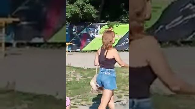 пляж здоровье. г.курск смотреть онлайн
