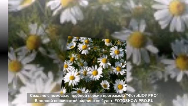 Природная медицина для человека смотреть онлайн
