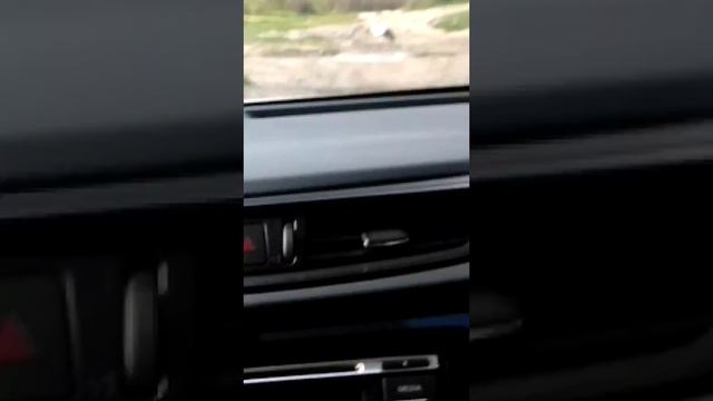 Аист ест змею жесть как она его не покусала смотреть онлайн