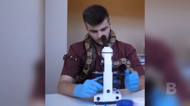 Девушка спала рядом со своей змеёй каждую ночь, пока доктор не раскрыл ей шокирующую правду! смотреть онлайн