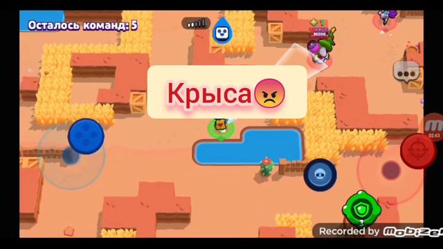 просто играю в нулс бравл (пишите что снять) смотреть онлайн