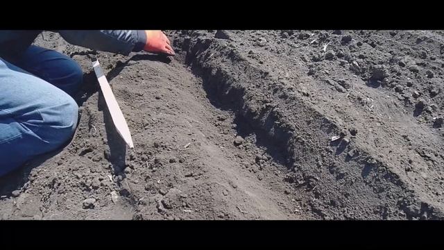 Подсолнечник. Пропашная Сеялка Equalizer. Посев Syngenta Suzuka смотреть онлайн