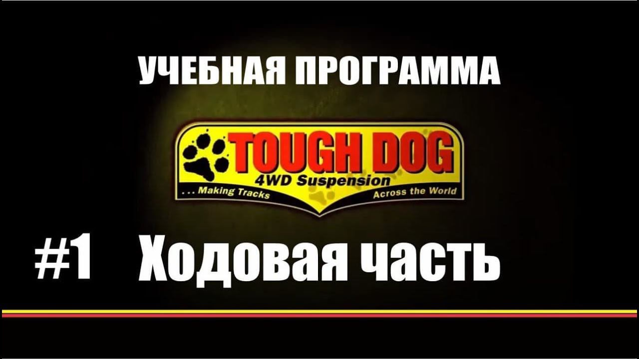 Всё о подвеске TOUGH DOG. Почему важно подбирать пружины и амортизаторы по характеристикам совместно