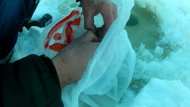 За живцом смотреть онлайн
