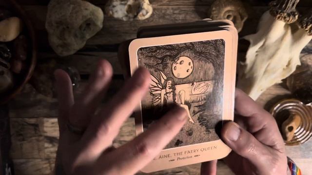 Review of the Wild Woman Oracle released October 2022 смотреть онлайн