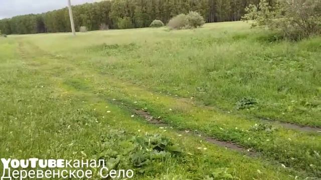 Ласточки низко летают... смотреть онлайн