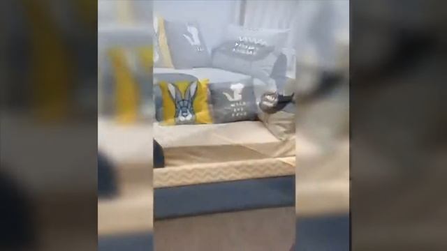 Детский диванчик Иви. Детская мебель Ульяновск смотреть онлайн