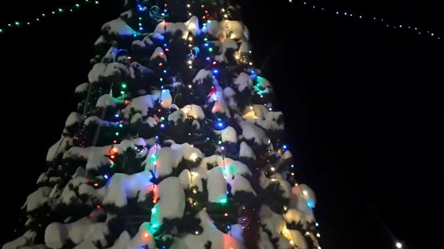 Новогодняя сказка// прогулка по городу// ёлки//звезда на сцене смотреть онлайн