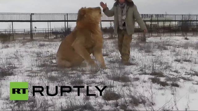 Олег Зубков 50 смотреть онлайн