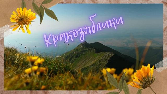 11. Сказка. Сказки на ночь. Кракозяблики. Автор: Анастасия Клименок. @666Anastasia смотреть онлайн