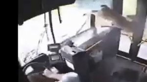 спаривание оленей